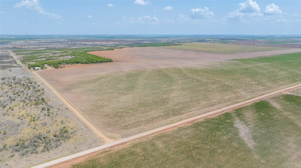 11270 County Road 202 Avoca, TX 79503