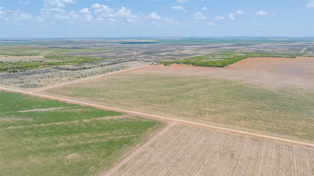 11270 County Road 202 Avoca, TX 79503