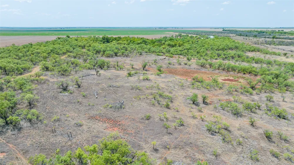 11270 County Road 202 Avoca, TX 79503