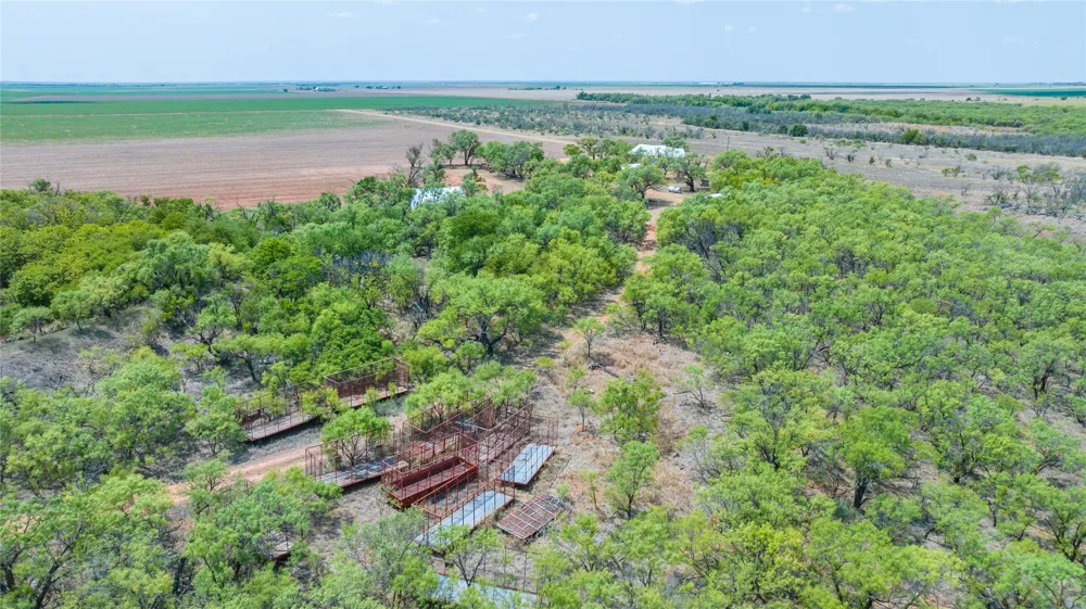 11270 County Road 202 Avoca, TX 79503