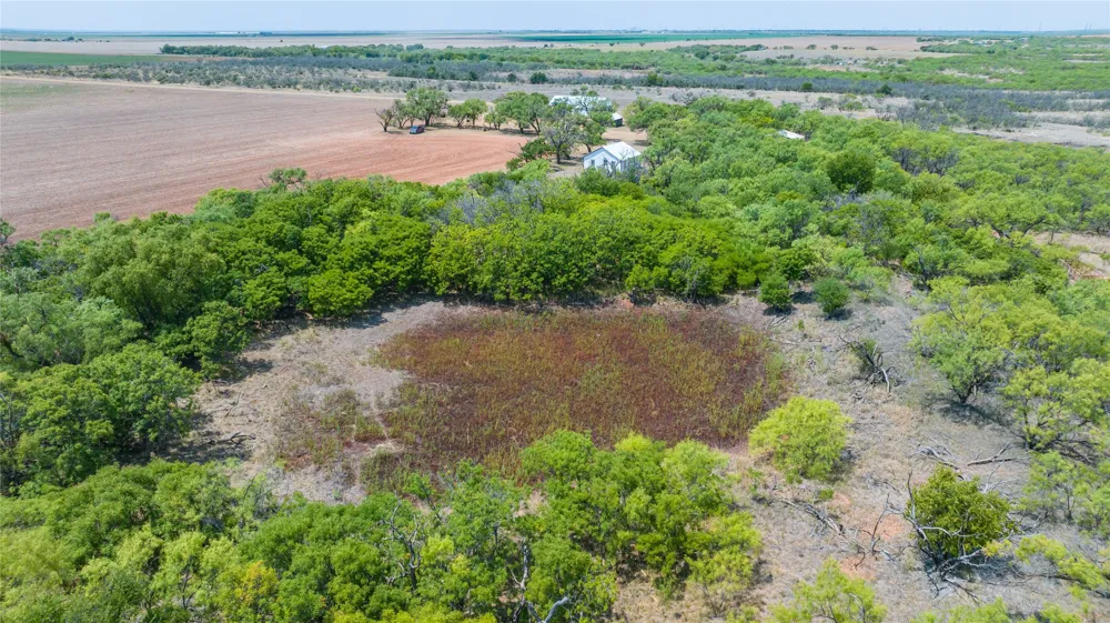 11270 County Road 202 Avoca, TX 79503