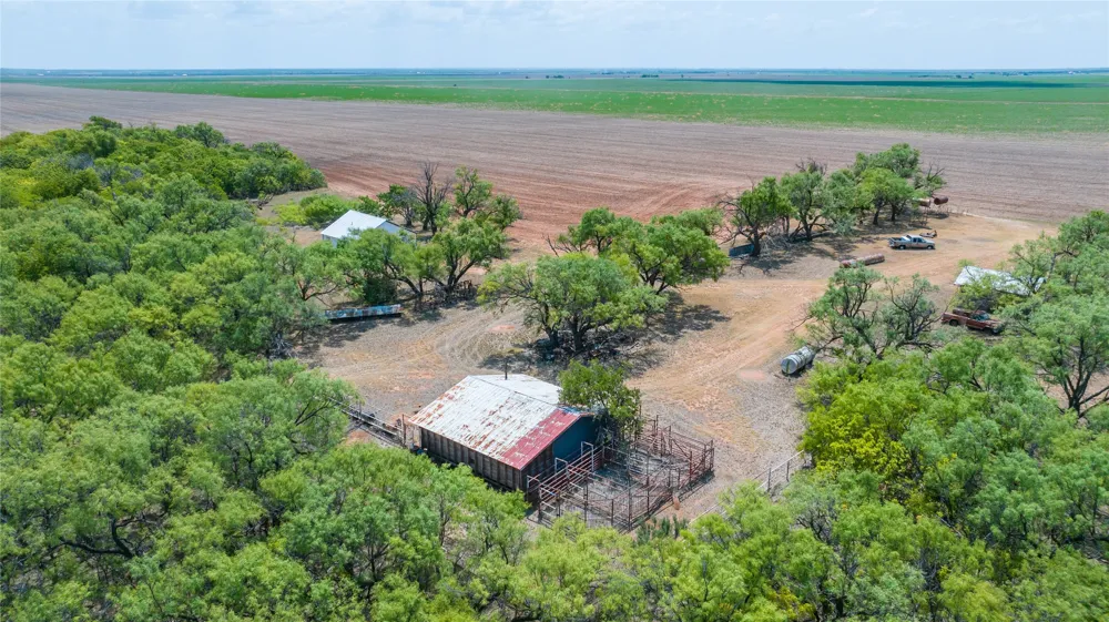 11270 County Road 202 Avoca, TX 79503