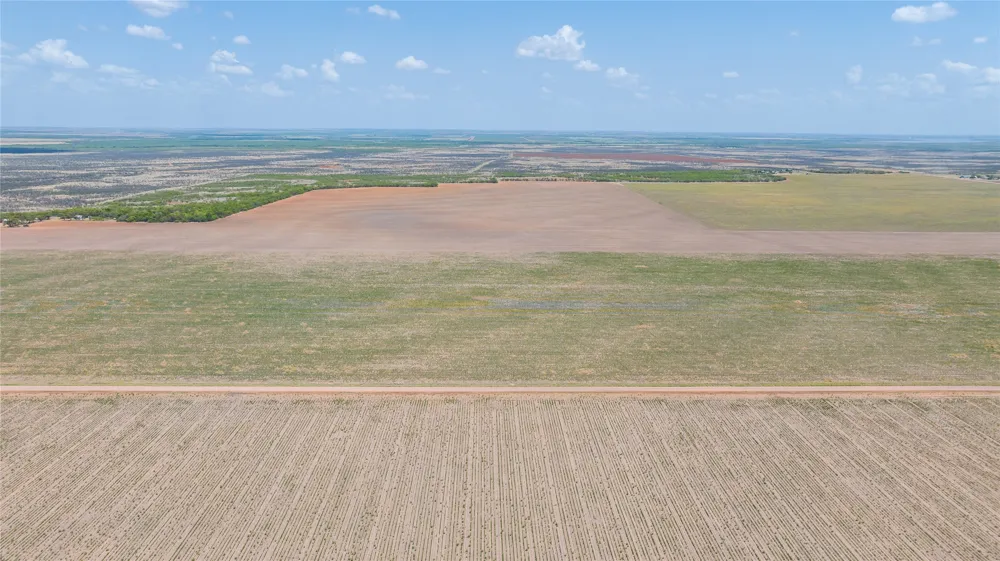 11270 County Road 202 Avoca, TX 79503