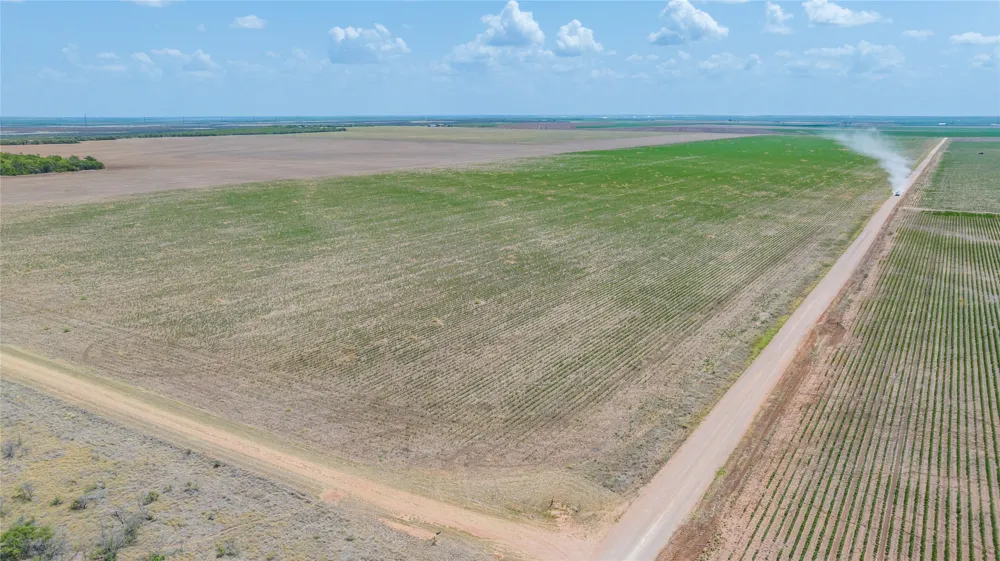 11270 County Road 202 Avoca, TX 79503
