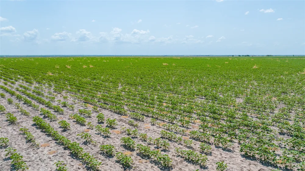 11270 County Road 202 Avoca, TX 79503