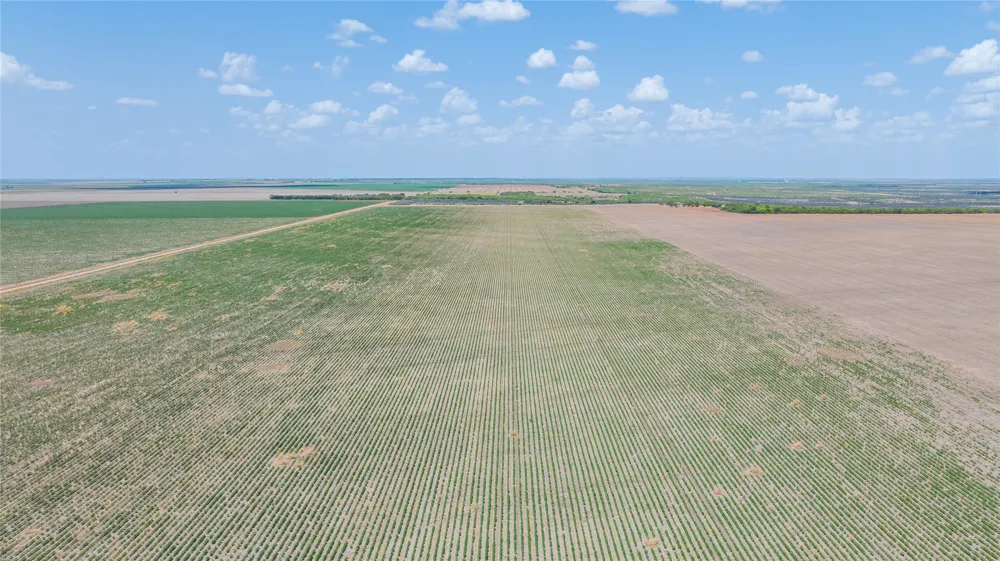 11270 County Road 202 Avoca, TX 79503