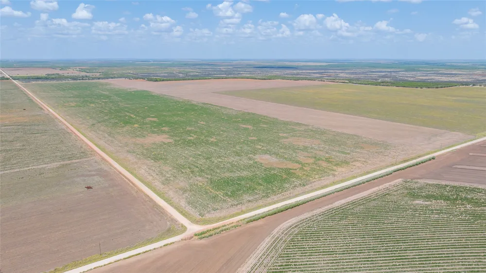 11270 County Road 202 Avoca, TX 79503