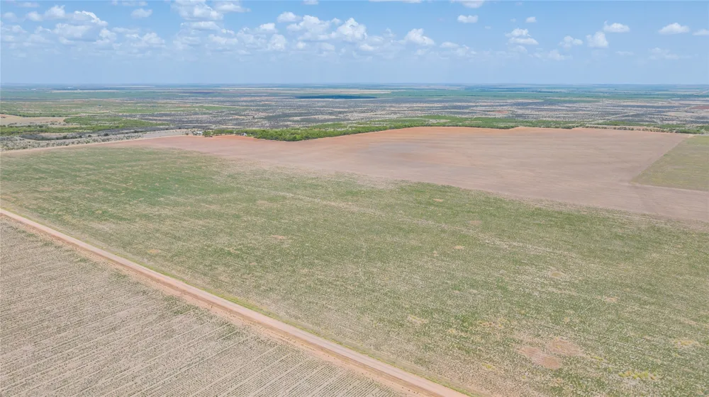 11270 County Road 202 Avoca, TX 79503