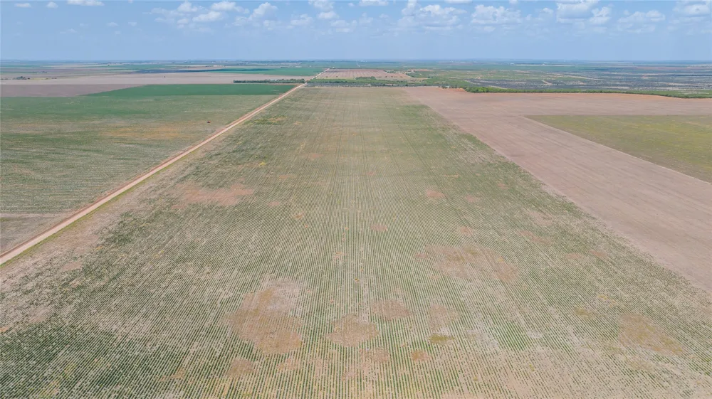 11270 County Road 202 Avoca, TX 79503