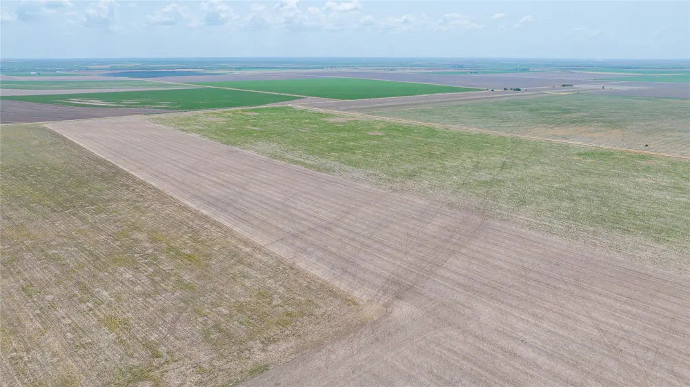 11270 County Road 202 Avoca, TX 79503