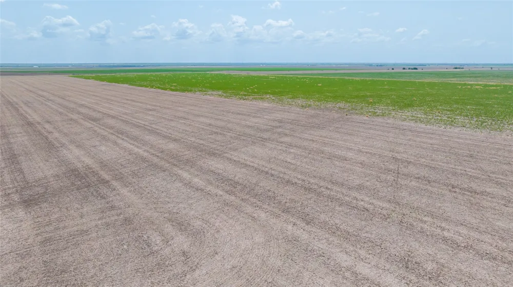 11270 County Road 202 Avoca, TX 79503