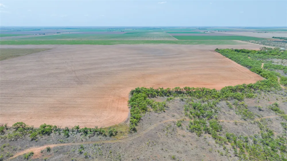 11270 County Road 202 Avoca, TX 79503