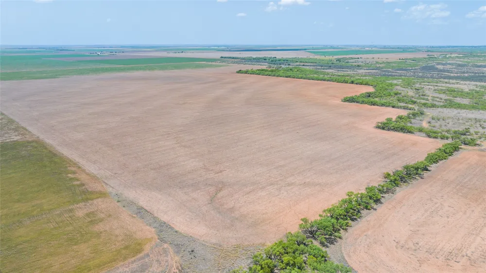 11270 County Road 202 Avoca, TX 79503
