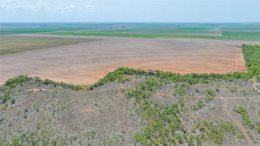 11270 County Road 202 Avoca, TX 79503