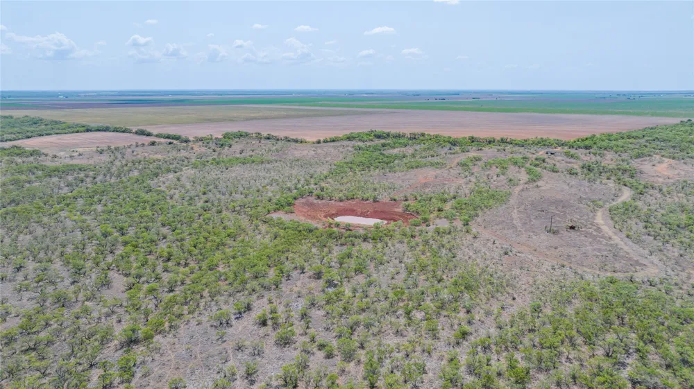 11270 County Road 202 Avoca, TX 79503