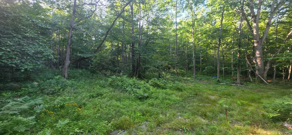 13 E Free Soil Road Free Soil, MI 49411