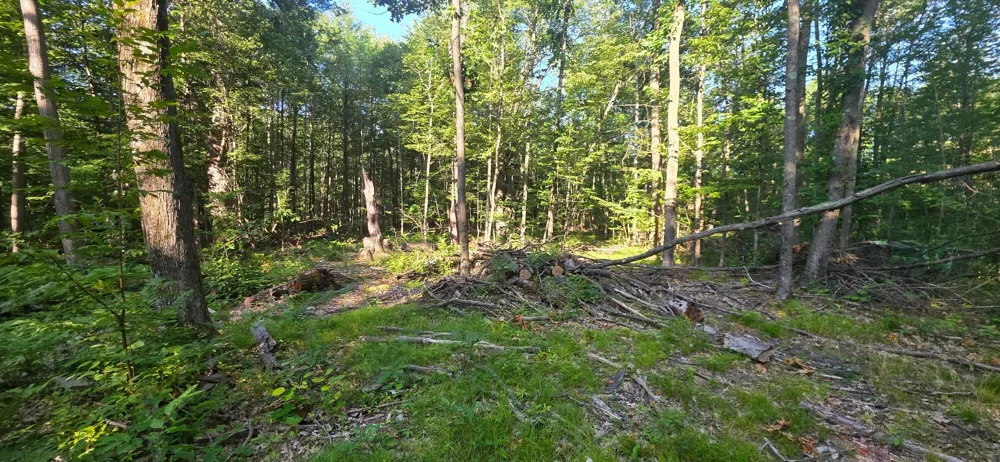 13 E Free Soil Road Free Soil, MI 49411