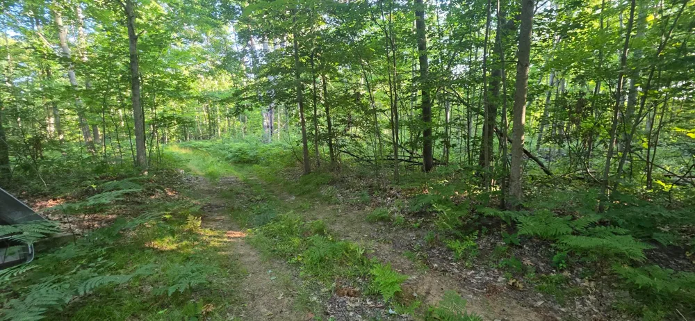 13 E Free Soil Road Free Soil, MI 49411
