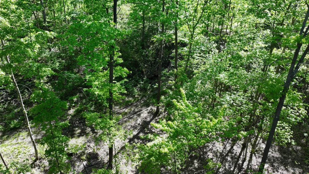 13 E Free Soil Road Free Soil, MI 49411