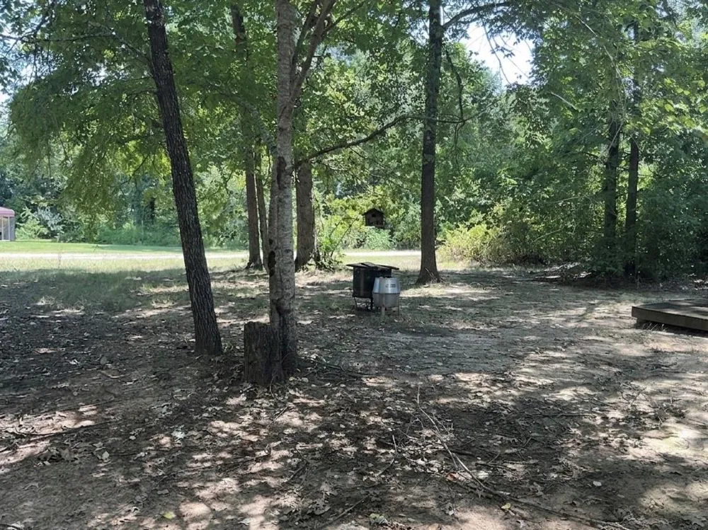 297 Leaning Oak Drive Point Blank, TX 77364