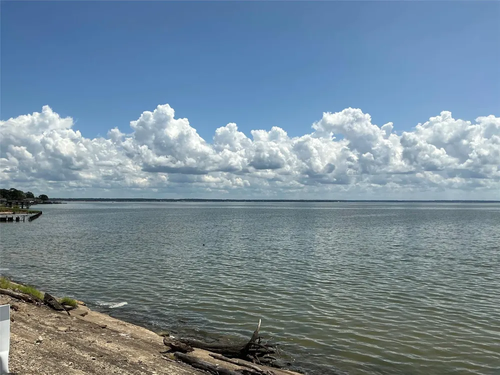 297 Leaning Oak Drive Point Blank, TX 77364