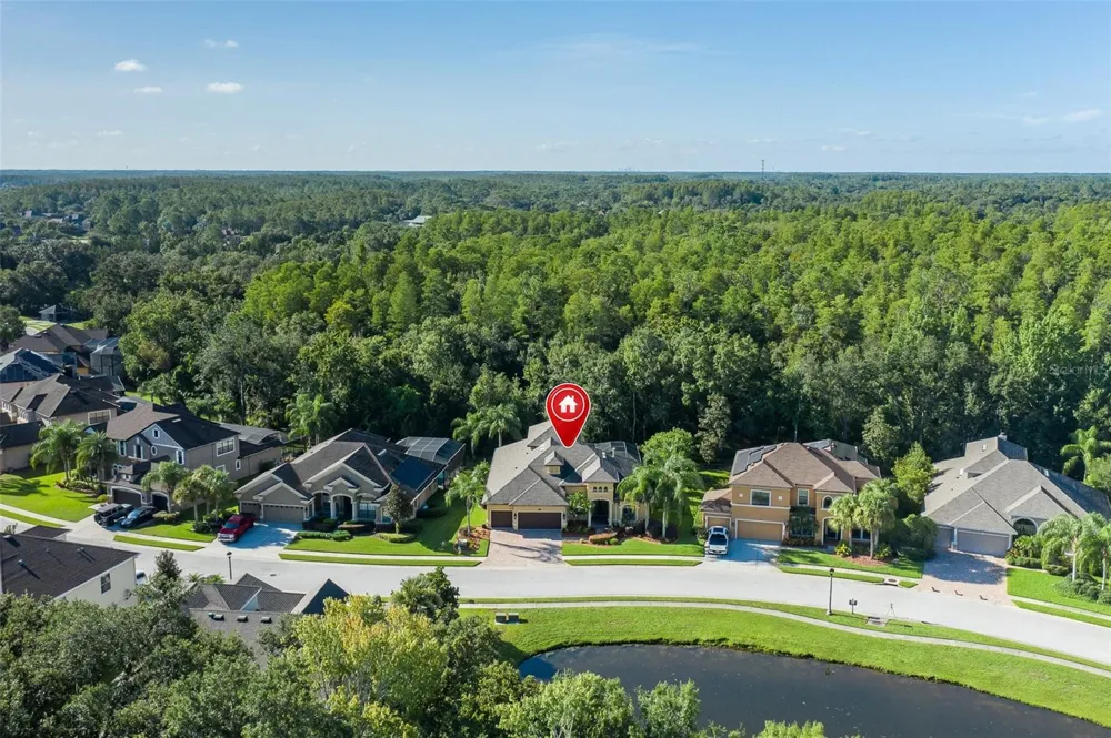15312 AZRA DRIVE Odessa, FL 33556