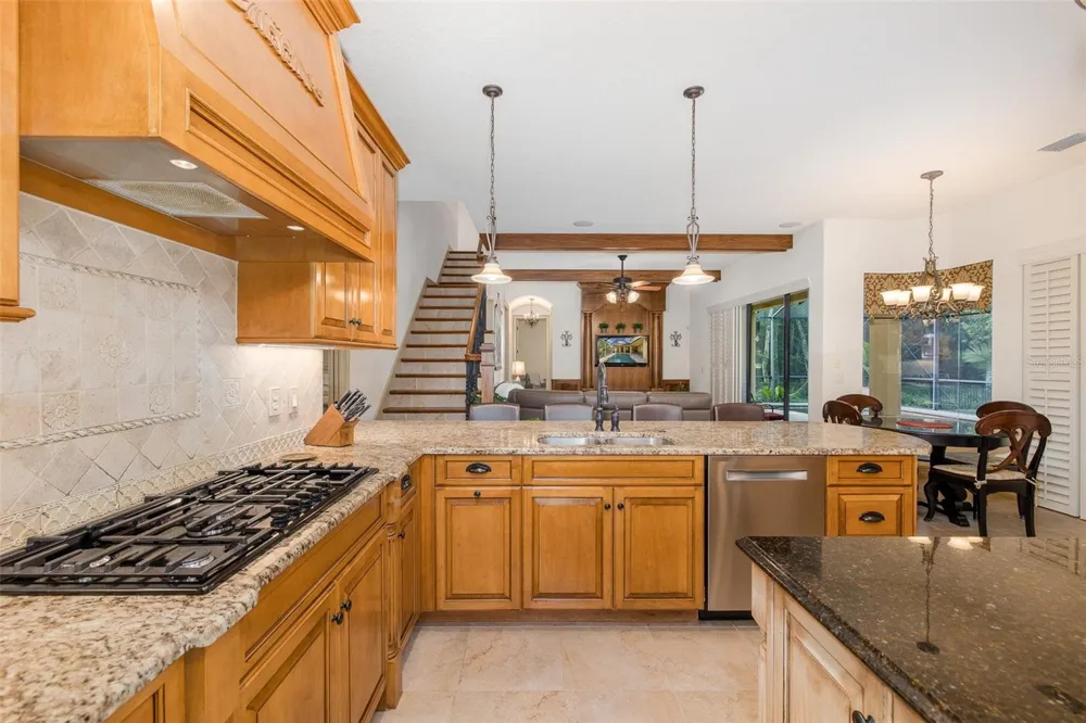 15312 AZRA DRIVE Odessa, FL 33556