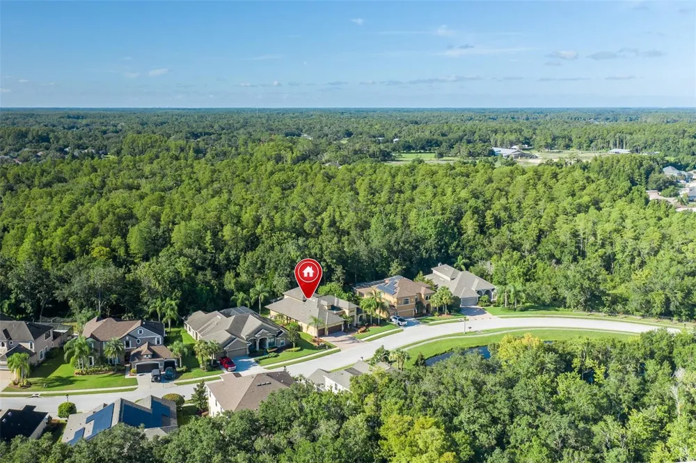 15312 AZRA DRIVE Odessa, FL 33556