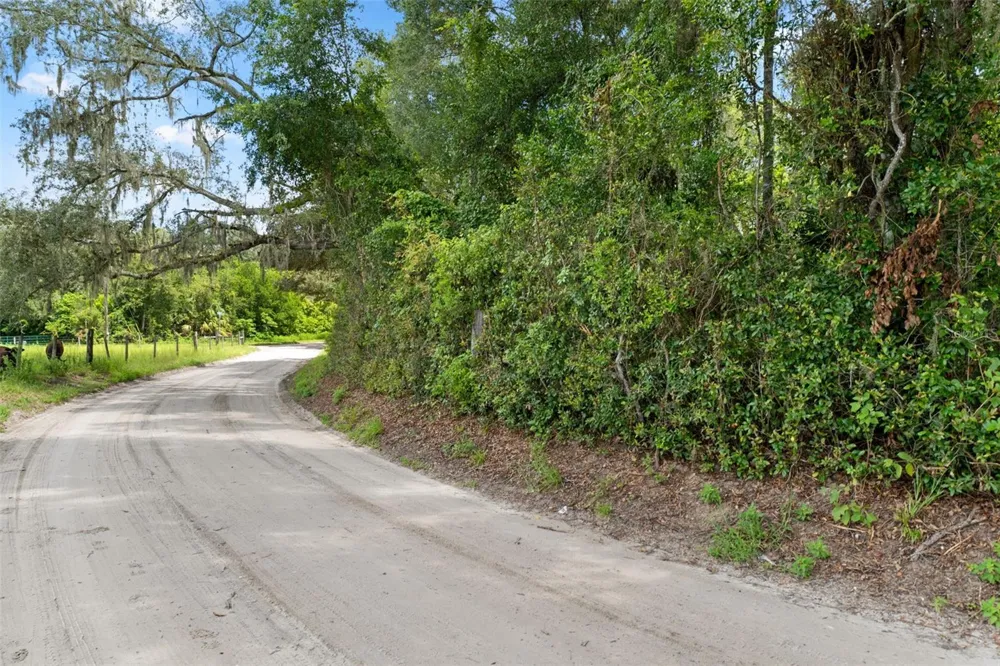 0 TRILBY CUTOFF ROAD Dade City, FL 33523