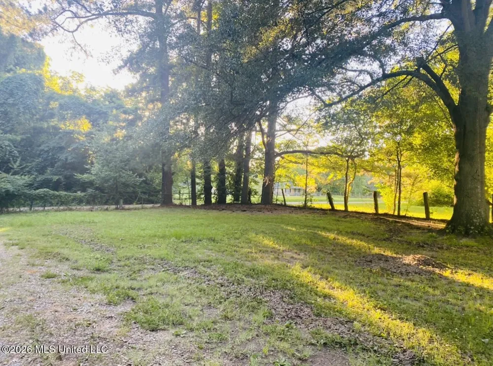 8910 Old Highway 61 Walls, MS 38680