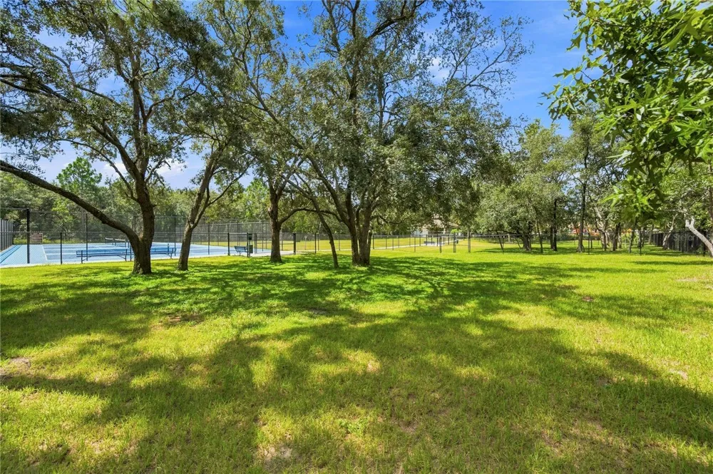 13368 MANDALAY PLACE Spring Hill, FL 34609