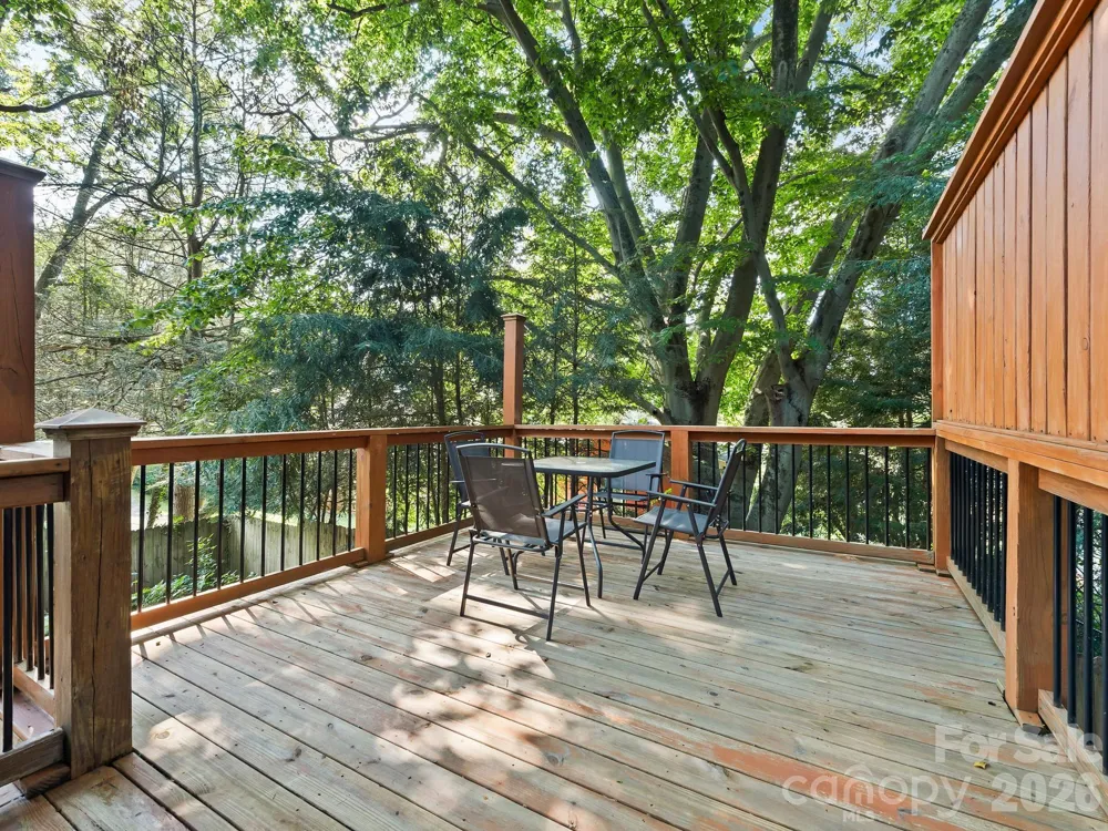 56 Harvard Place Asheville, NC 28806