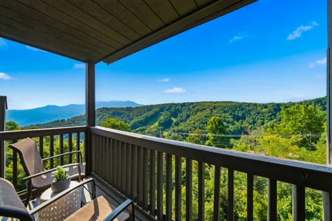 1380 Ski View Dr #3304