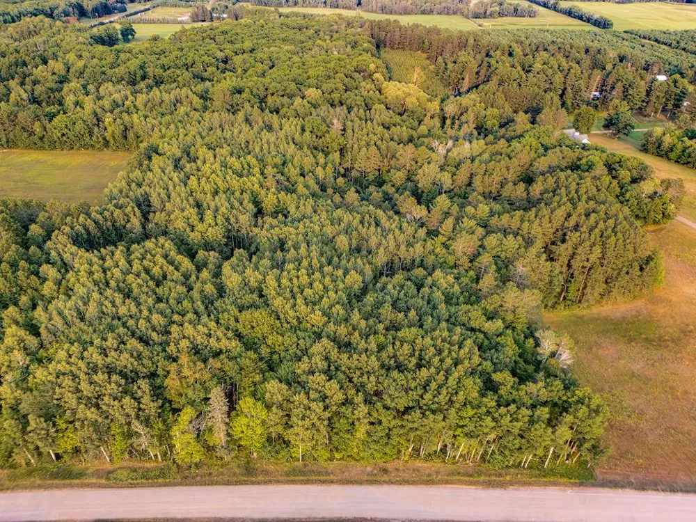 TBD Tract C Pioneer Road Barnum, MN 55707