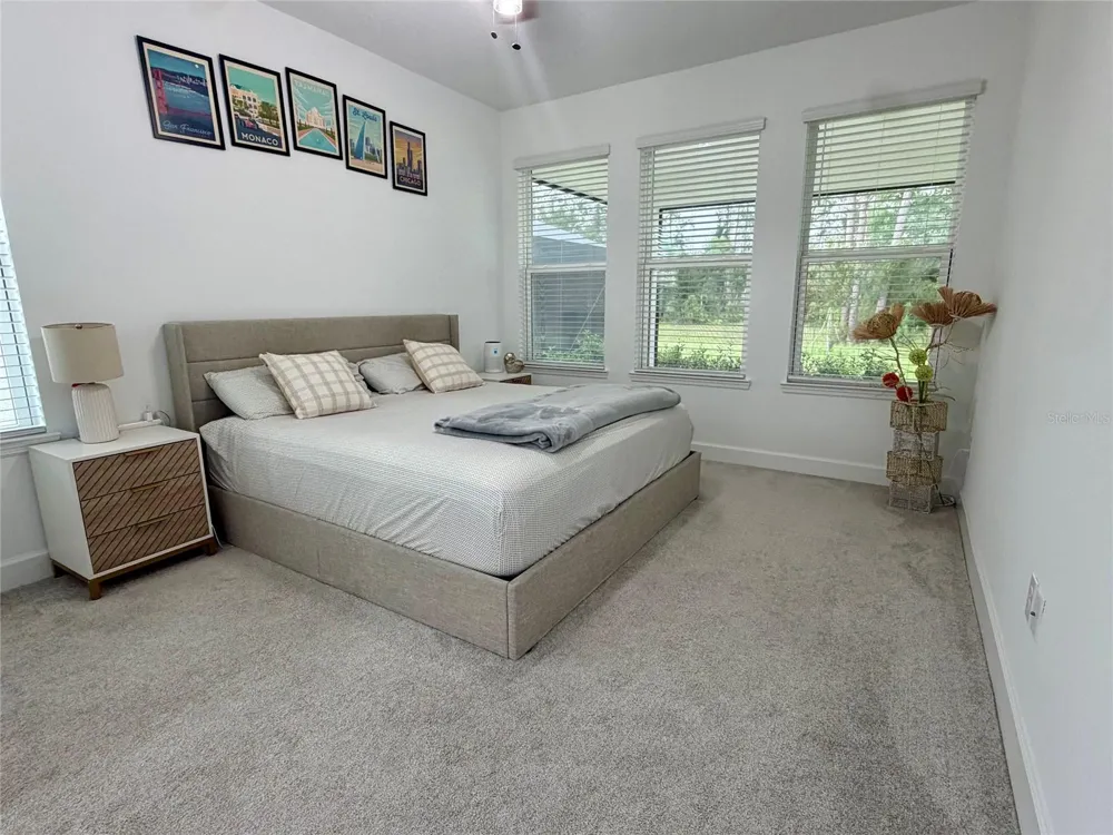 33901 LANDSMAN LOOP Wesley Chapel, FL 33543