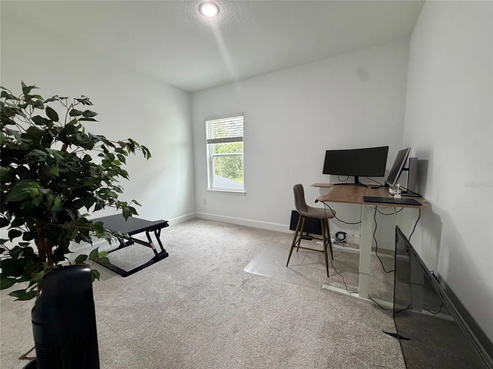 33901 LANDSMAN LOOP Wesley Chapel, FL 33543