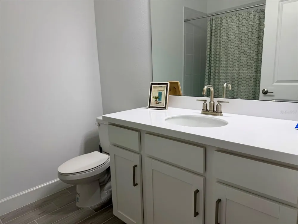 33901 LANDSMAN LOOP Wesley Chapel, FL 33543