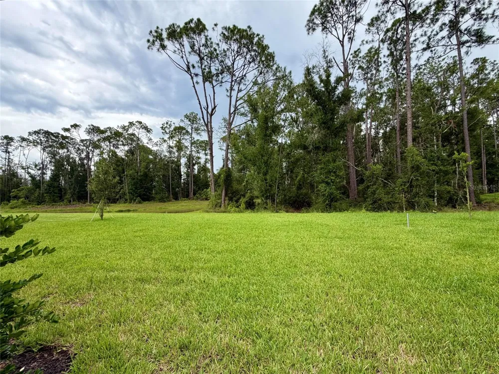 33901 LANDSMAN LOOP Wesley Chapel, FL 33543