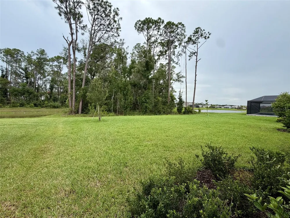 33901 LANDSMAN LOOP Wesley Chapel, FL 33543