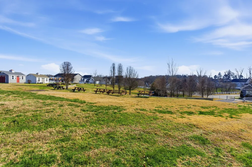 315 Augusta Ave Pleasant View, TN 37146