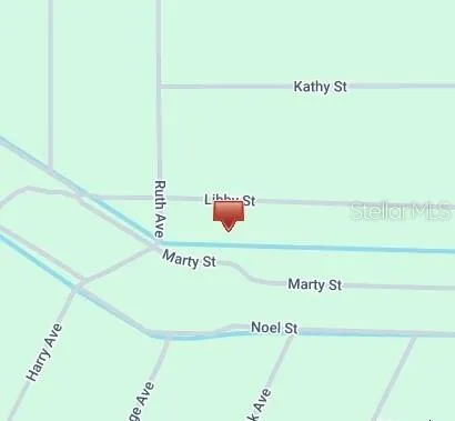 MARTY STREET Hastings, FL 32145