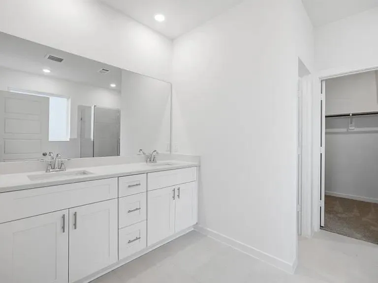 2407 Outpost Canyon Drive Iowa Colony, TX 77583
