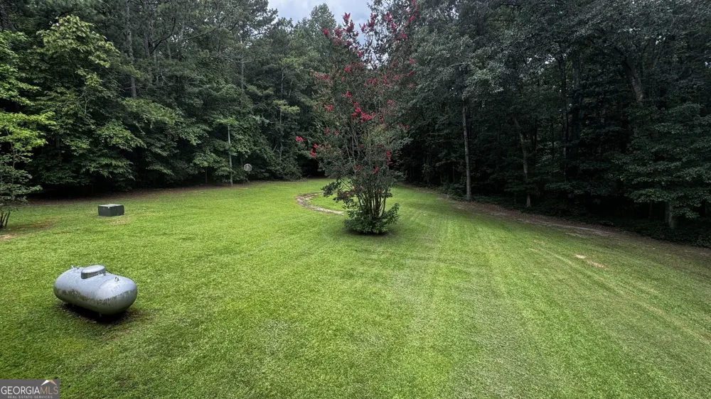 1997 McKinley RD Zebulon, GA 30295
