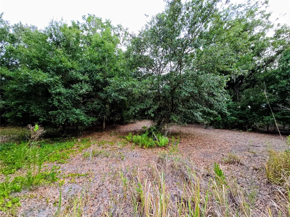 AVON-PARK CUTOFF ROAD Fort Meade, FL 33841