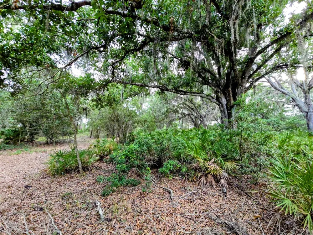 AVON-PARK CUTOFF ROAD Fort Meade, FL 33841