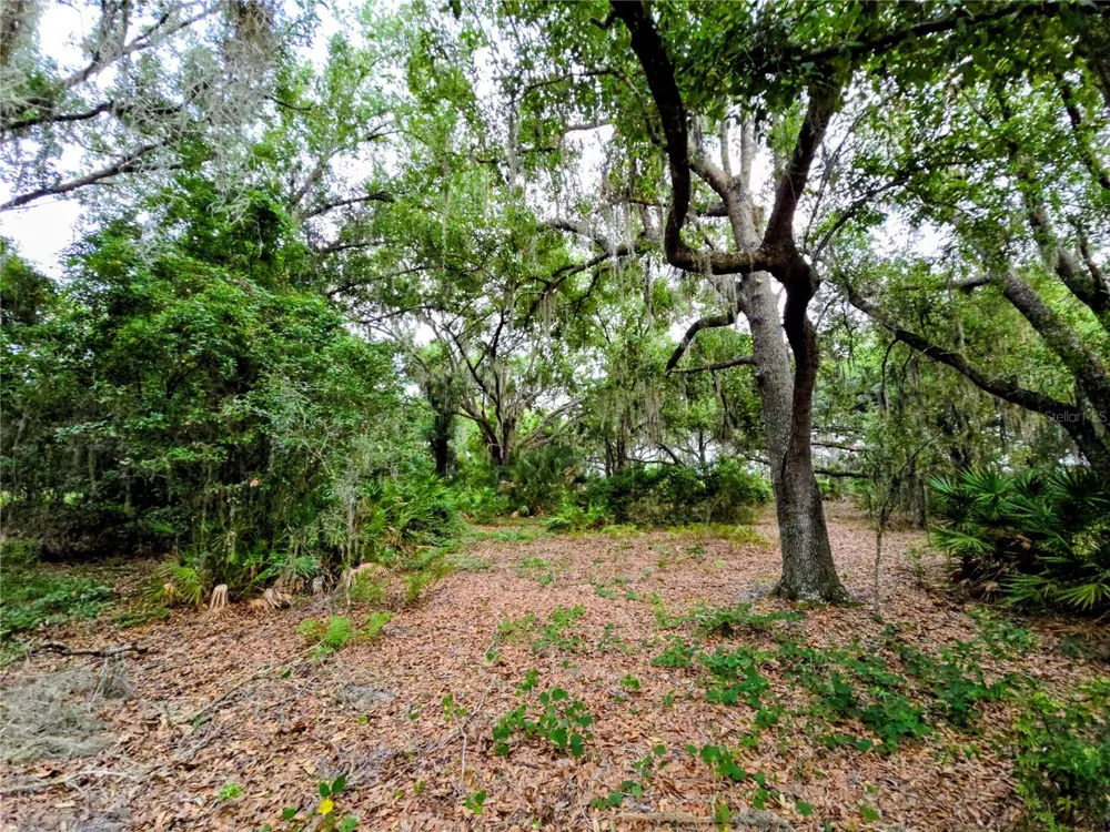 AVON-PARK CUTOFF ROAD Fort Meade, FL 33841
