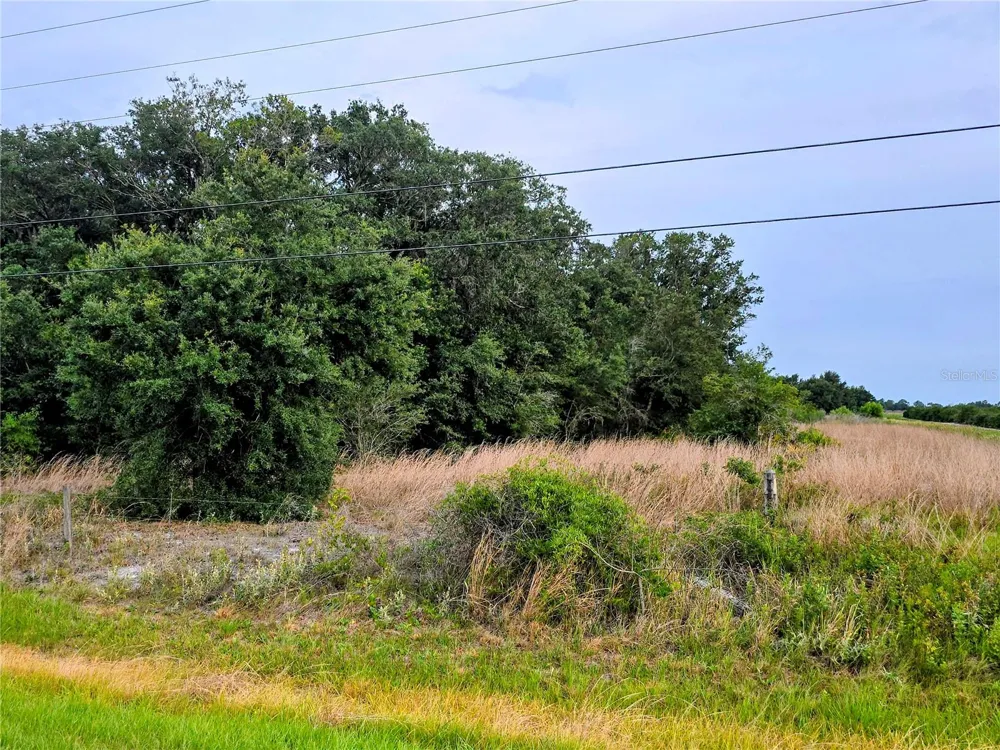 AVON-PARK CUTOFF ROAD Fort Meade, FL 33841