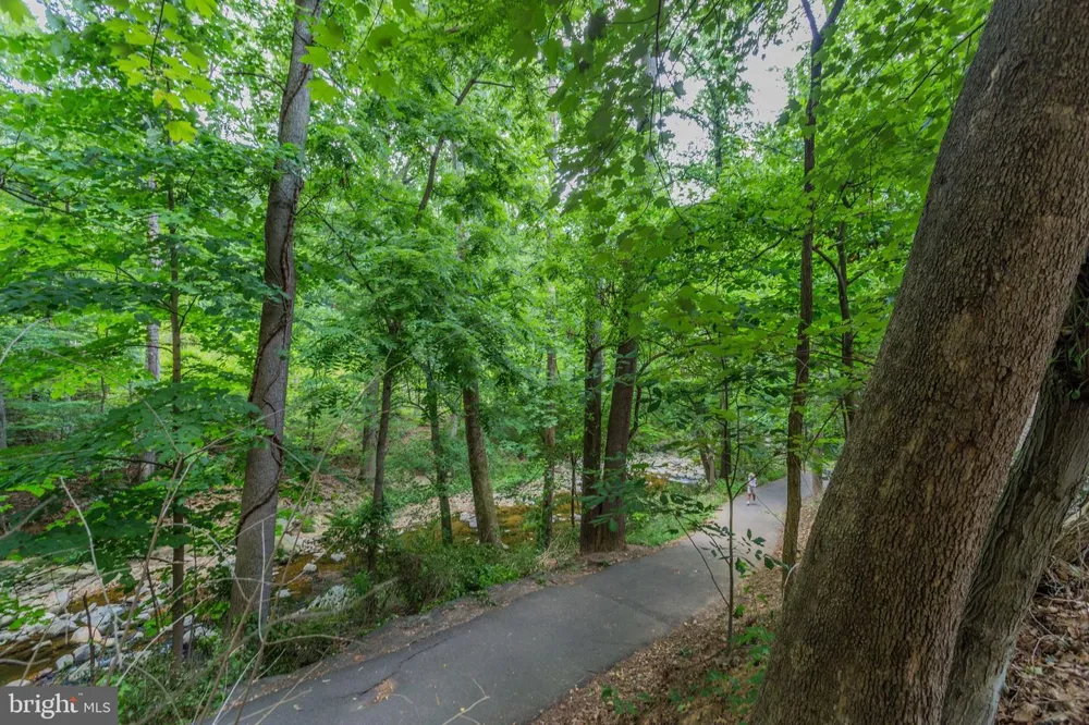 706 S ARLINGTON MILL DRIVE #18103 Arlington, VA 22204