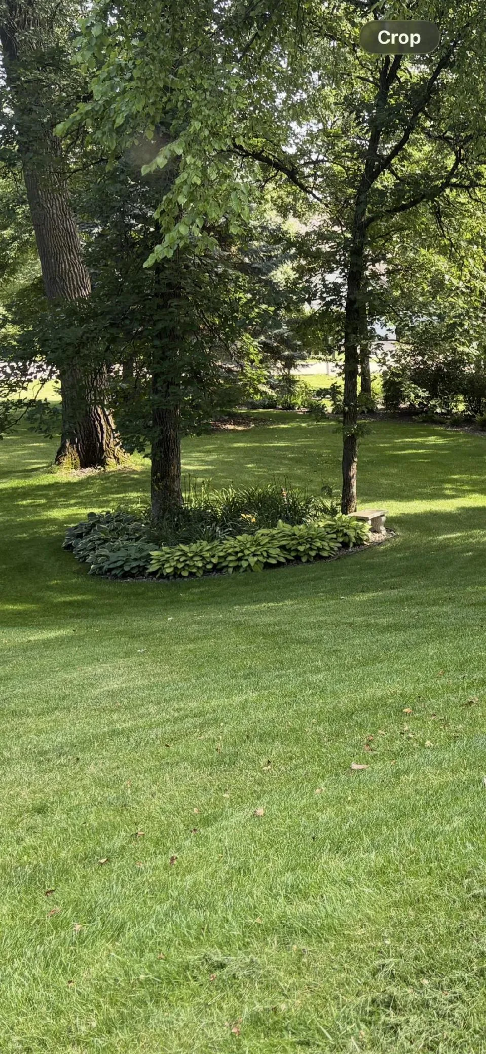 6921 Bluff Lane NW Rochester, MN 55901