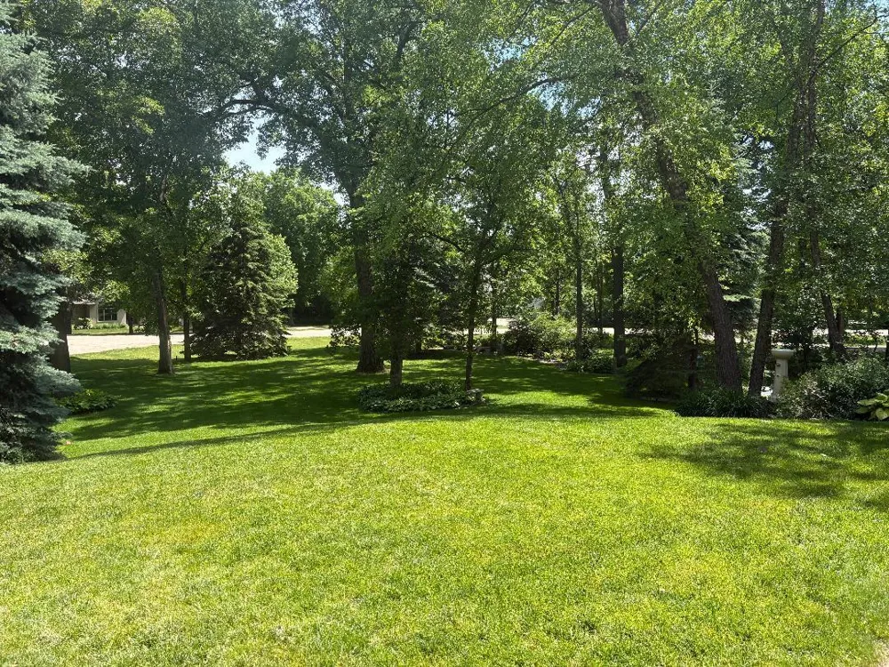 6921 Bluff Lane NW Rochester, MN 55901